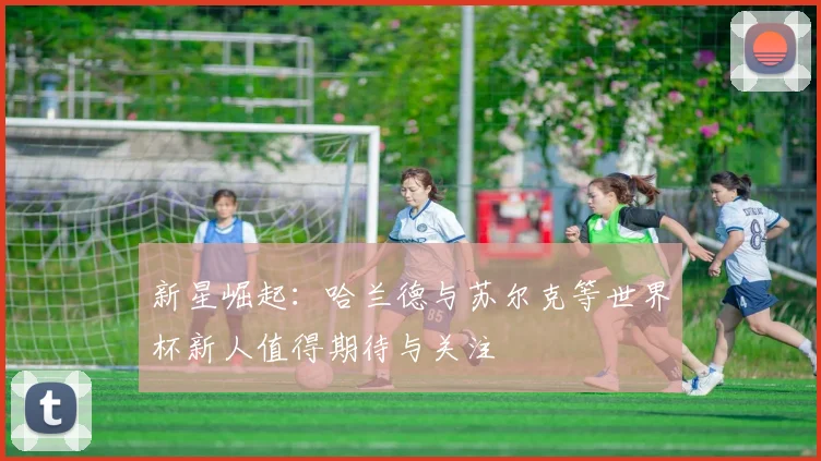 新星崛起：哈兰德与苏尔克等世界杯新人值得期待与关注